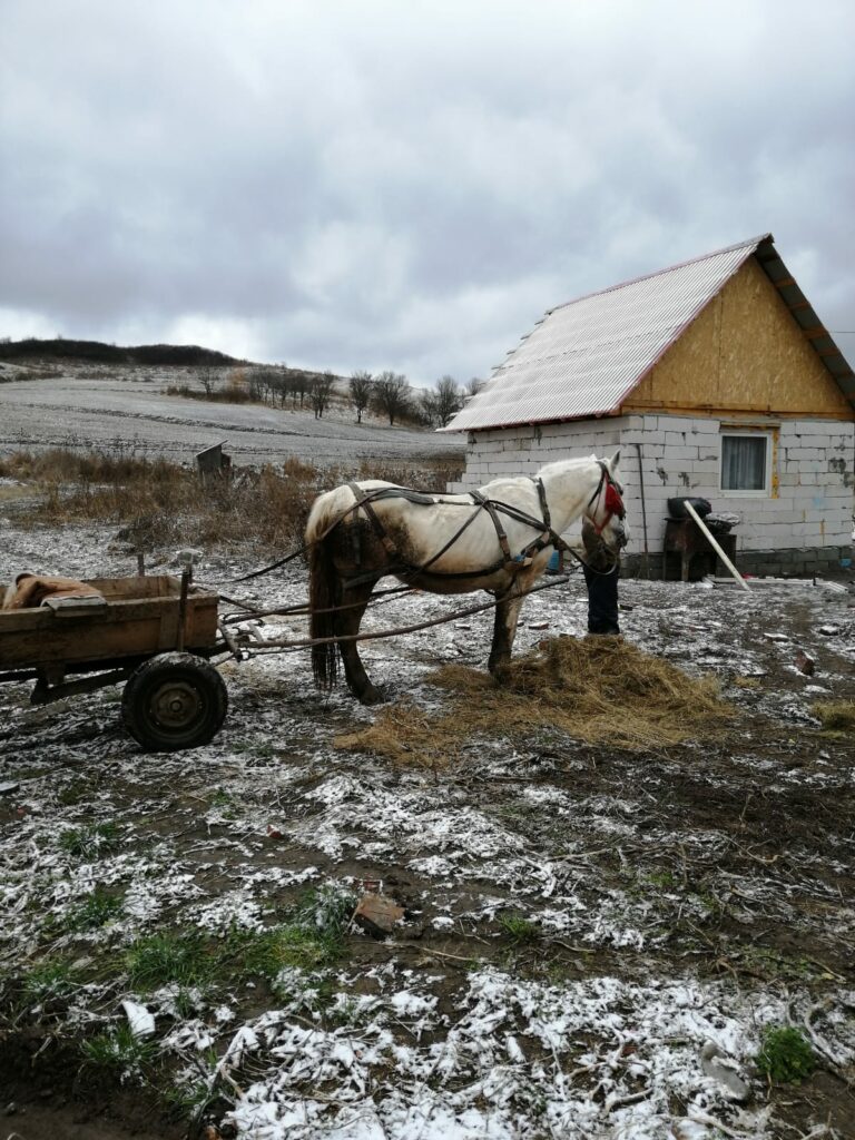 IMG-20240606-WA0013